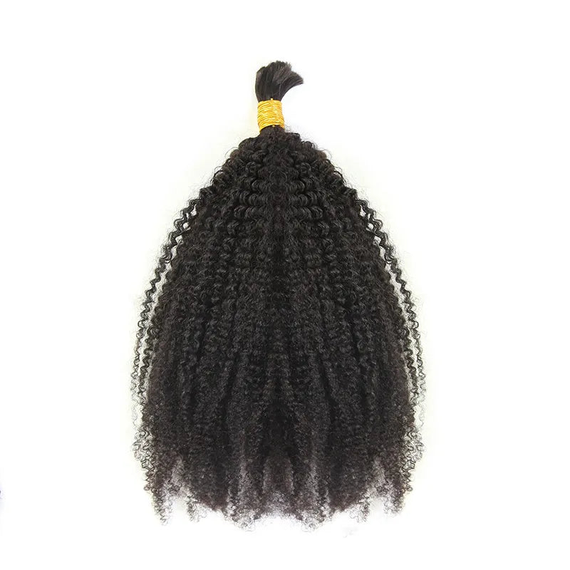 Bulk Kinky Curly Human Hair Extensions